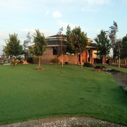 Synthetic Turf Supplier Zephyrhills West, Florida Landscape Ideas, Commercial Landscape