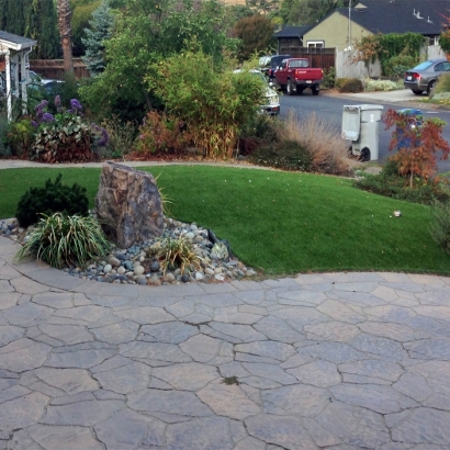 Turf Grass Dunedin, Florida Landscape Rock, Front Yard