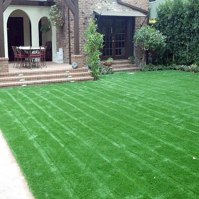 Turf Grass Floral City, Florida Garden Ideas, Front Yard Design