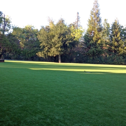 Turf Grass Siesta Key, Florida Backyard Playground, Recreational Areas