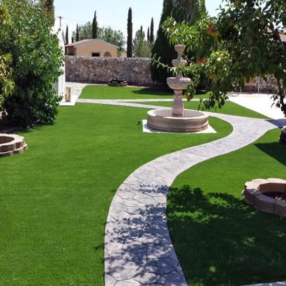 Turf Grass South Apopka, Florida Lawns, Backyard Garden Ideas