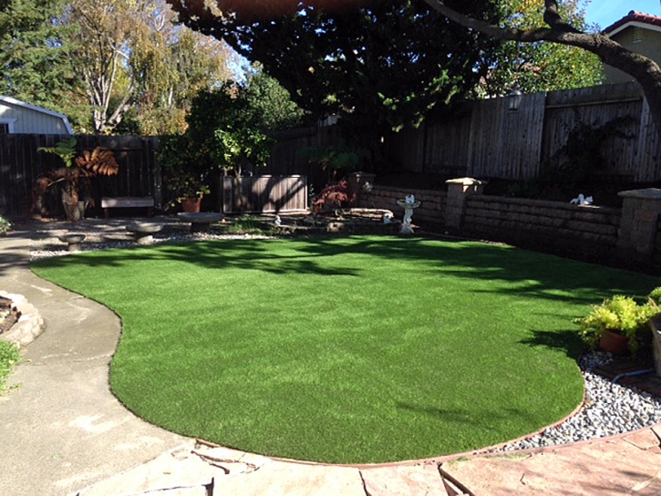 Artificial Grass Carpet Bay Hill, Florida Landscape Photos, Small Backyard Ideas