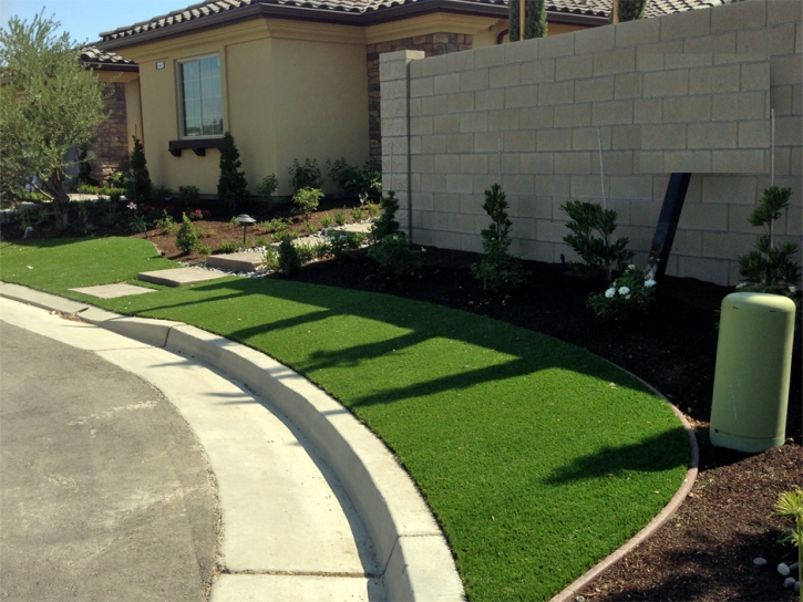 Artificial Grass Carpet Grant-Valkaria, Florida Landscape Ideas, Front Yard Design