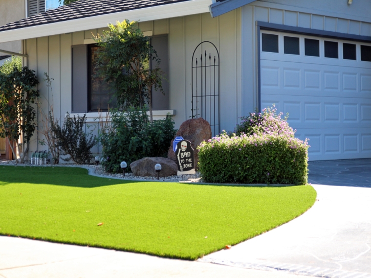 Artificial Grass Carpet Okeechobee, Florida Garden Ideas, Front Yard Landscape Ideas