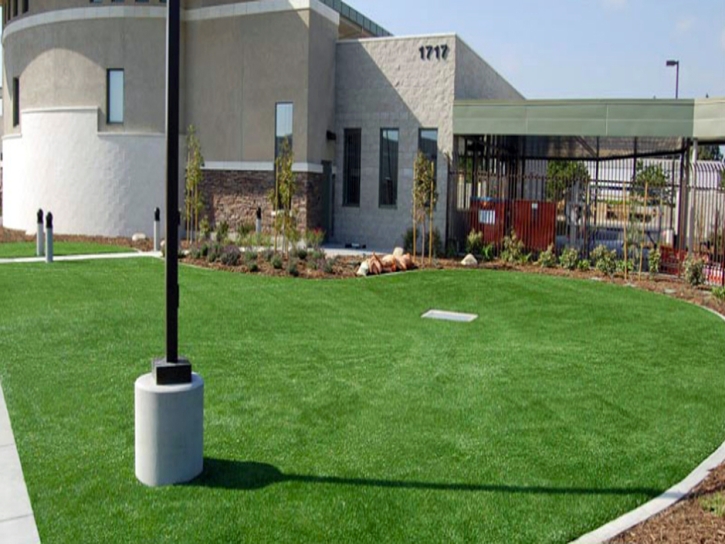 Artificial Grass Carpet Saint James City, Florida Landscape Design, Commercial Landscape