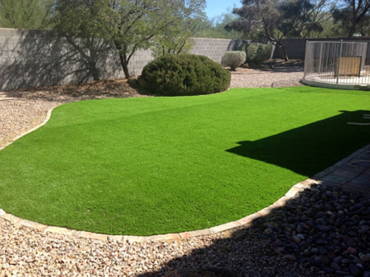 Artificial Grass Installation Cheval, Florida Landscape Ideas, Beautiful Backyards