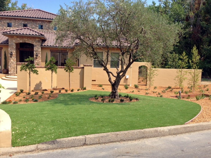 Artificial Grass Installation Eagle Lake, Florida Landscaping, Front Yard Design