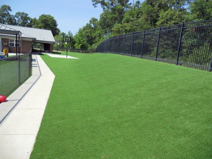 Artificial Grass Installation Lake Lindsey, Florida Landscape Ideas, Commercial Landscape