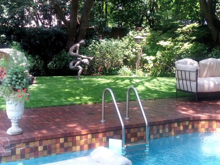 Artificial Grass Installation Mango, Florida Lawn And Garden, Swimming Pools