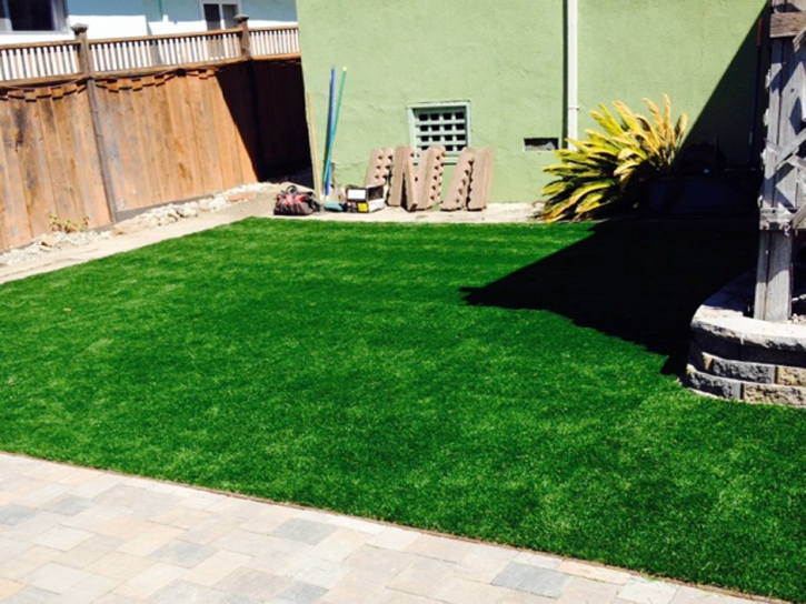 Artificial Grass Installation Pittman, Florida Artificial Turf For Dogs, Beautiful Backyards