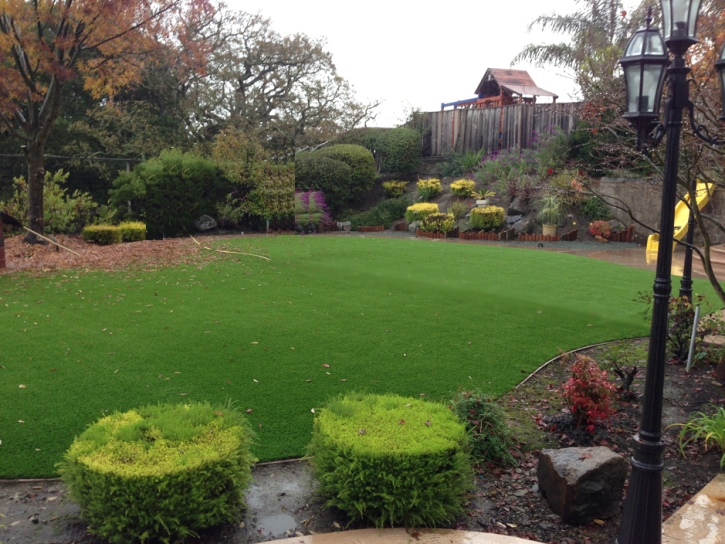 Artificial Grass Installation Seffner, Florida Landscaping Business, Backyard Landscaping