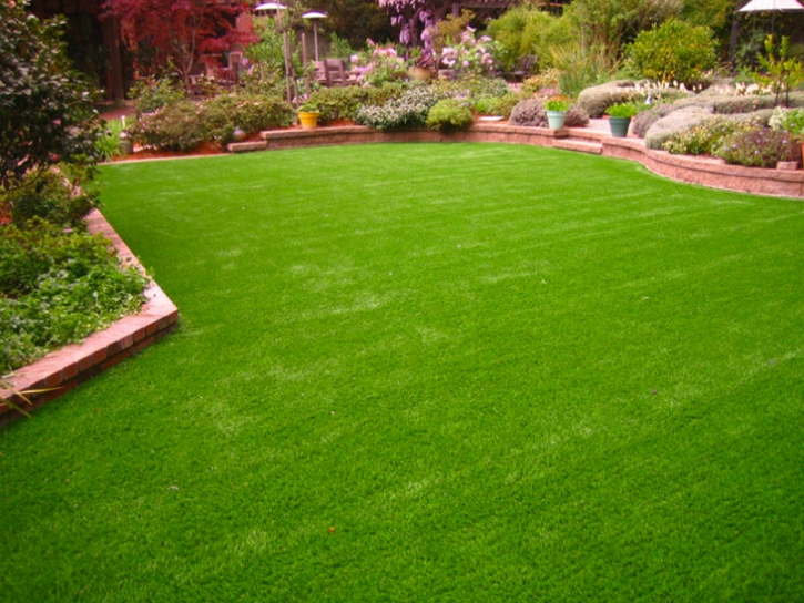 Artificial Grass Installation Whiskey Creek, Florida Lawn And Garden, Backyard Design