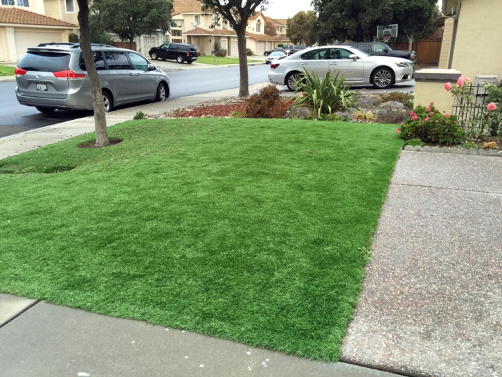 Artificial Grass Inwood, Florida Landscaping, Front Yard Landscaping