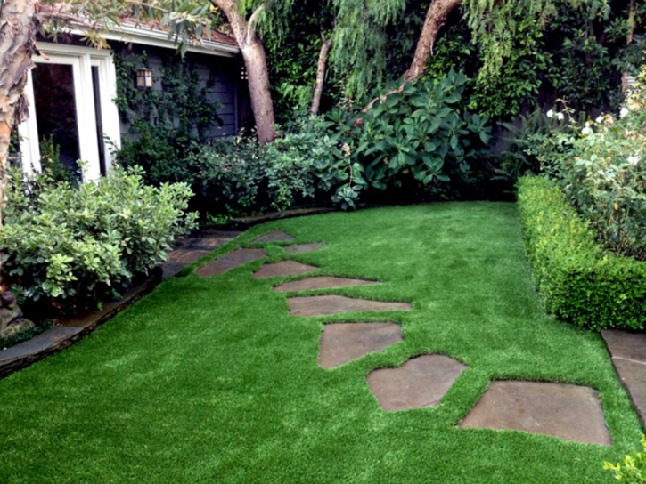 Artificial Grass Jasmine Estates, Florida Landscape Rock, Small Backyard Ideas