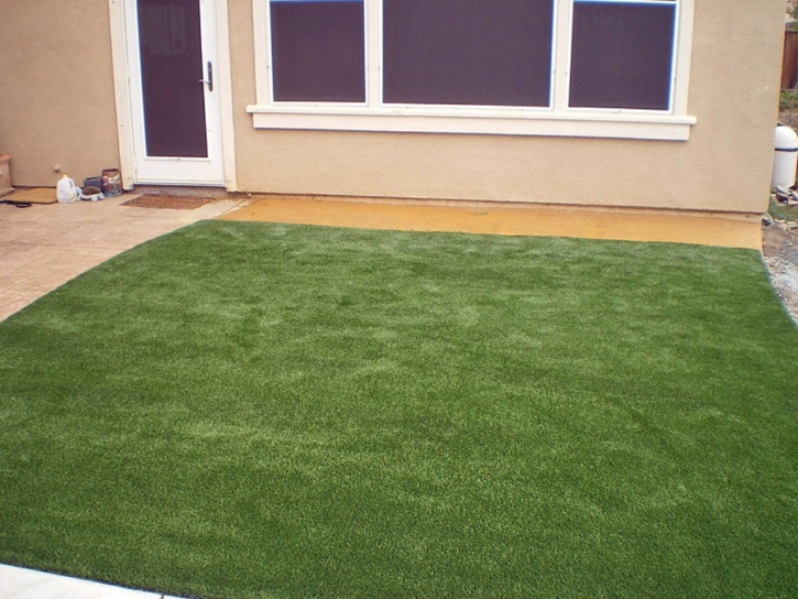 Artificial Grass North Weeki Wachee, Florida Landscaping, Backyard Landscaping