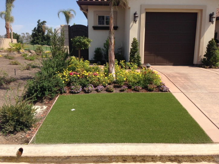 Artificial Grass Tangerine, Florida Rooftop, Front Yard Landscaping