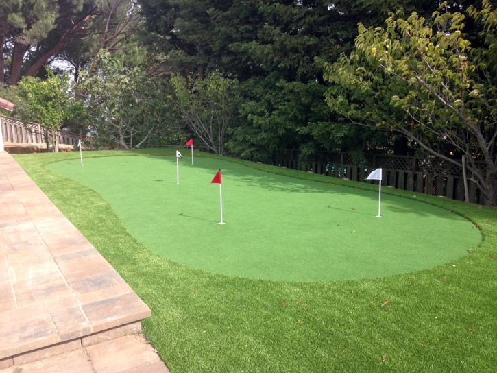 Artificial Grass Taylor Creek, Florida Office Putting Green, Backyard Landscape Ideas