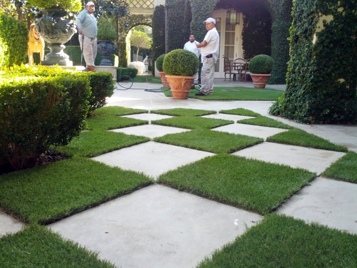 Artificial Grass Winston, Florida Garden Ideas, Pavers