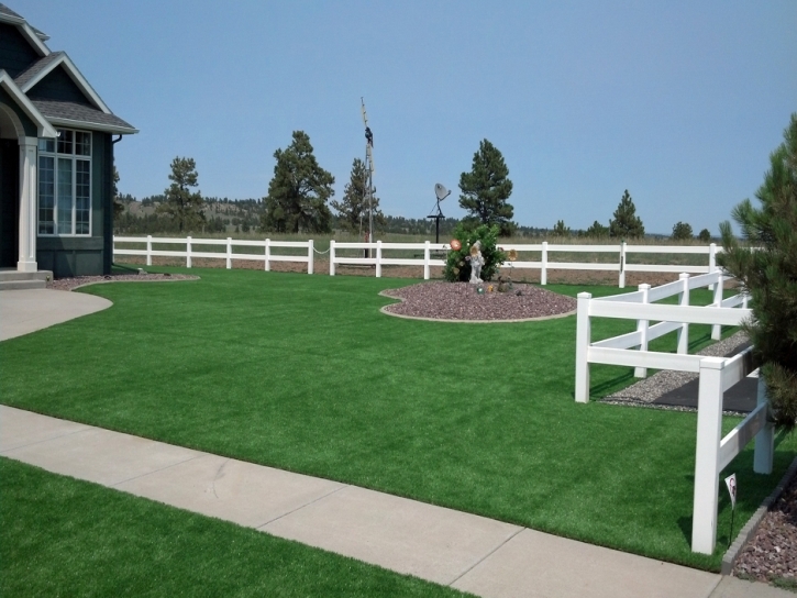 Artificial Grass Yankeetown, Florida Backyard Playground, Front Yard Ideas