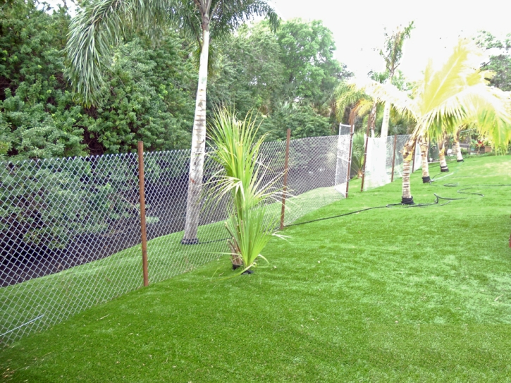 Artificial Lawn Bay Hill, Florida Landscaping Business, Backyard Landscape Ideas