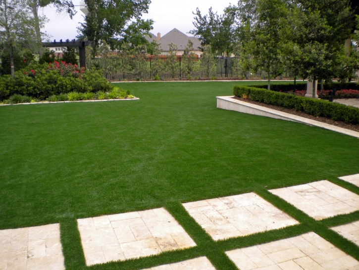 Artificial Lawn Dunedin, Florida Roof Top, Backyard