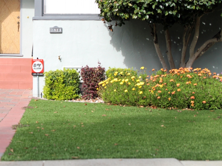 Artificial Lawn Fort Green, Florida Landscaping, Front Yard