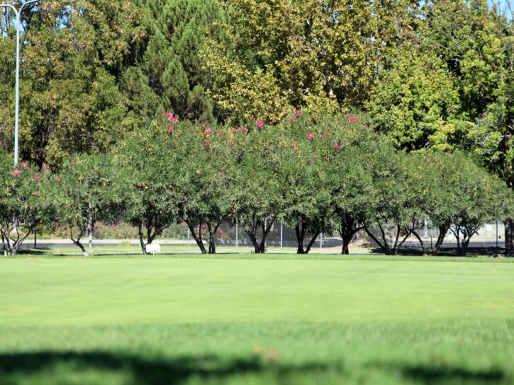 Artificial Lawn Fort Myers Beach, Florida Lawn And Landscape