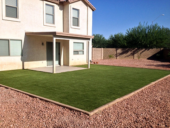 Artificial Lawn Inverness, Florida Home And Garden, Backyard Garden Ideas