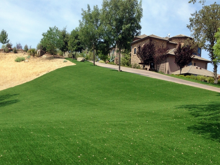 Artificial Lawn South Gate Ridge, Florida Roof Top, Front Yard Landscaping