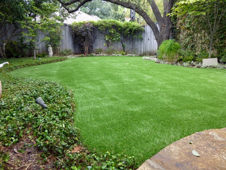 Artificial Lawn South Venice, Florida Landscaping Business, Backyard Ideas