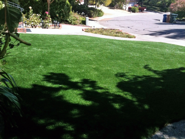 Artificial Turf Carrollwood, Florida Landscape Ideas, Landscaping Ideas For Front Yard