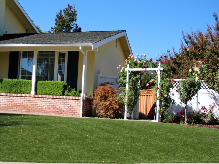 Artificial Turf Cost Bronson, Florida Landscape Rock, Front Yard Ideas