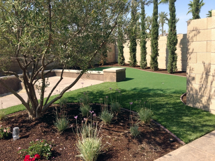 Artificial Turf Cost Fort Green, Florida Roof Top, Backyard Landscape Ideas