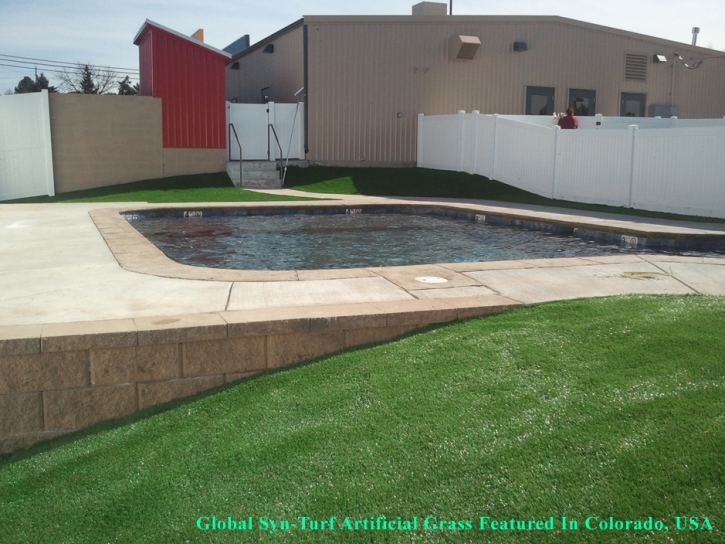 Artificial Turf Cost Greater Northdale, Florida Rooftop, Natural Swimming Pools