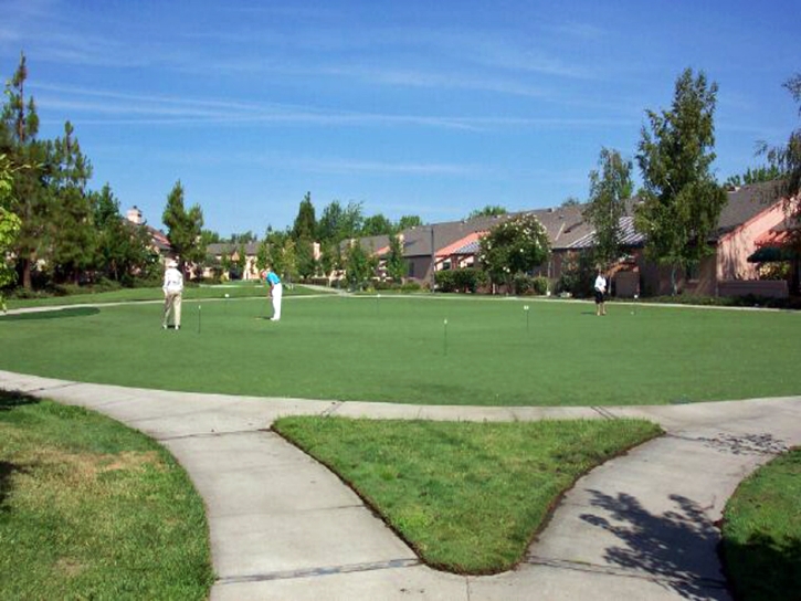 Artificial Turf Cost Midway, Florida Putting Green Grass, Commercial Landscape