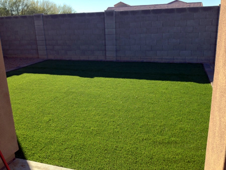 Artificial Turf Cost Ridge Wood Heights, Florida Landscaping, Backyards