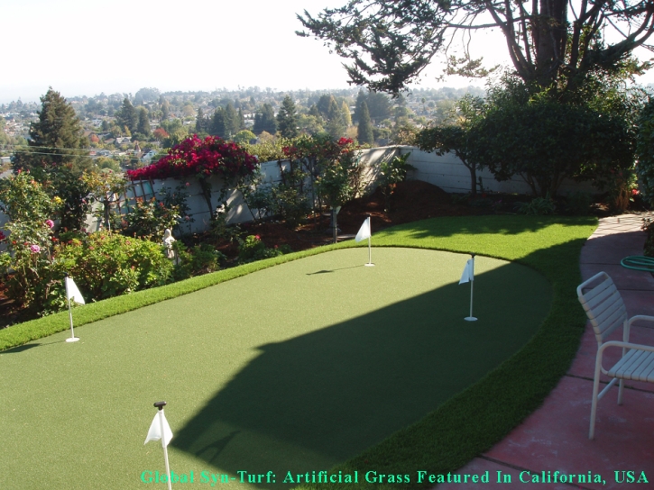 Artificial Turf Cost University, Florida Backyard Putting Green, Backyard