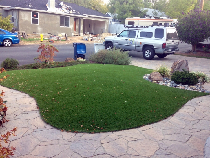 Artificial Turf Cost Valrico, Florida Backyard Playground, Front Yard Landscaping Ideas