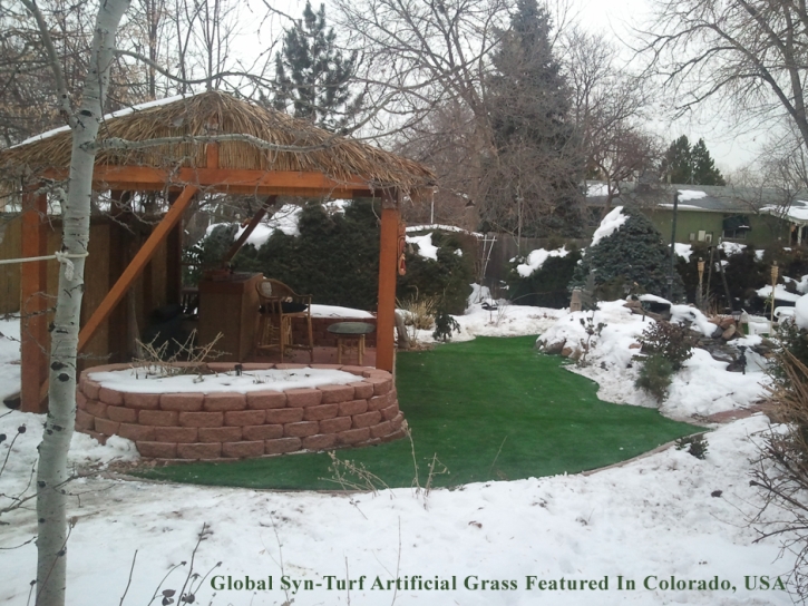 Artificial Turf Cost Westchase, Florida City Landscape, Backyard Designs