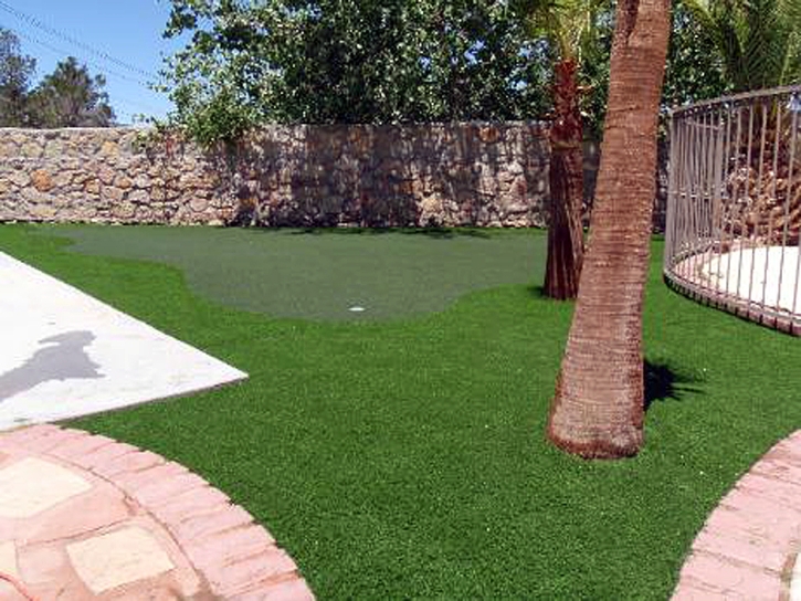 Artificial Turf Cost Williston, Florida Backyard Playground, Beautiful Backyards