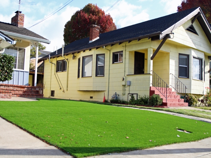 Artificial Turf Englewood, Florida Lawns, Front Yard Landscaping