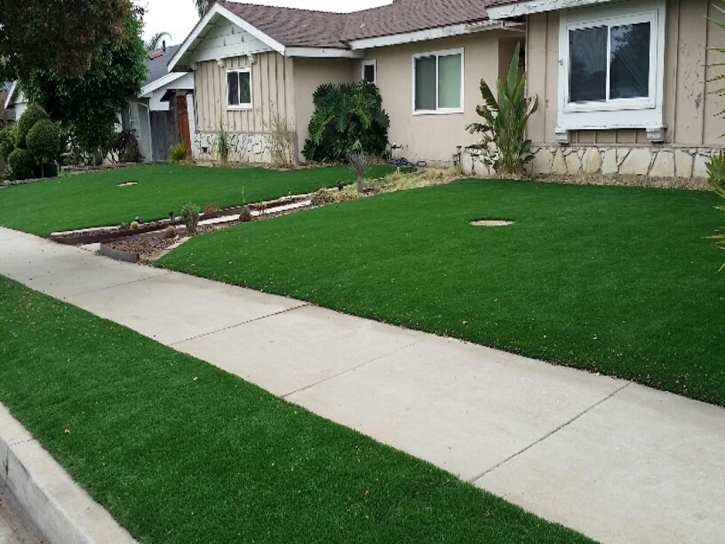 Artificial Turf Harlem Heights, Florida Design Ideas, Small Front Yard Landscaping