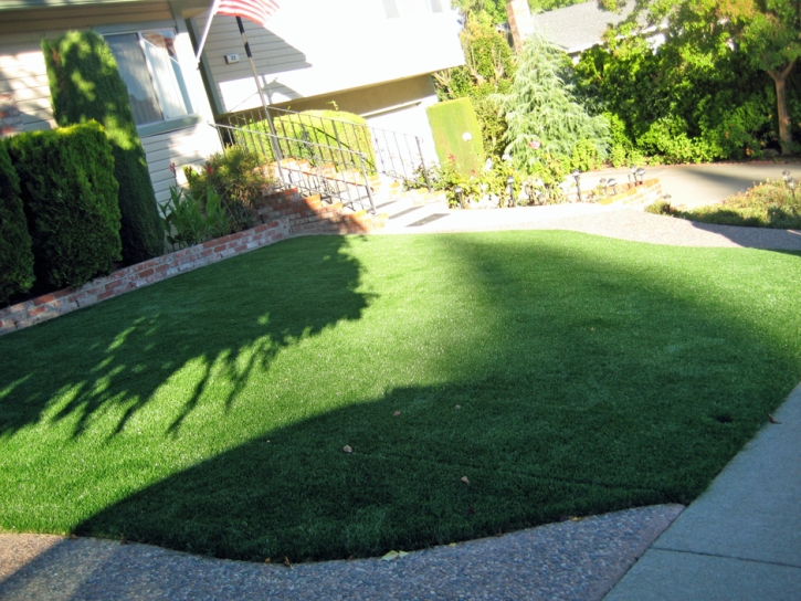 Artificial Turf Installation Bell, Florida Paver Patio, Front Yard Ideas