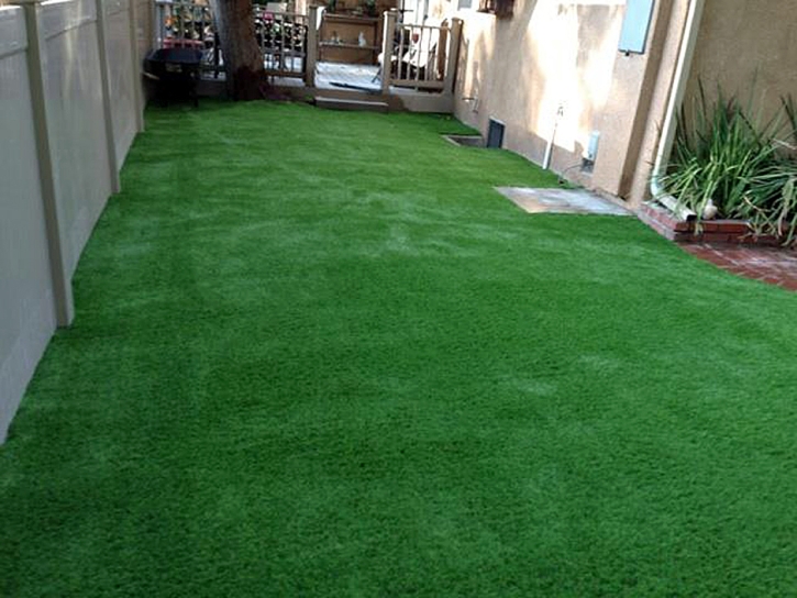 Artificial Turf Installation Bradenton Beach, Florida Landscape Ideas, Backyard Ideas