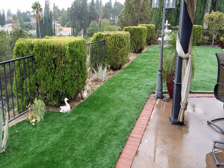 Artificial Turf Installation Citra, Florida Rooftop, Backyards