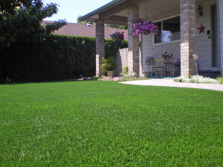 Artificial Turf Lake Buena Vista, Florida Lawns, Front Yard Landscape Ideas