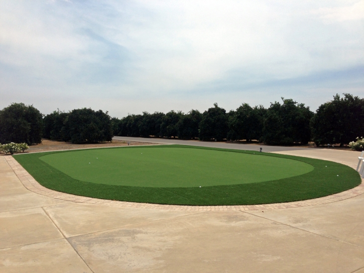 Artificial Turf Lochmoor Waterway Estates, Florida Gardeners, Front Yard