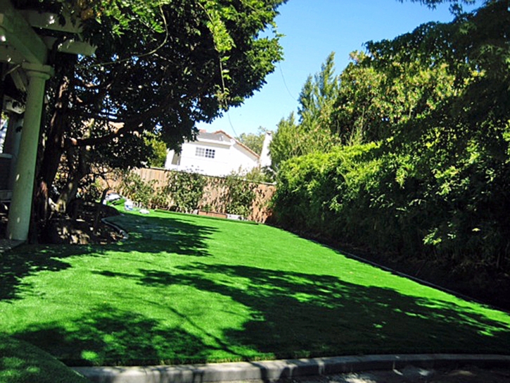 Artificial Turf Madeira Beach, Florida Roof Top, Backyard Landscaping