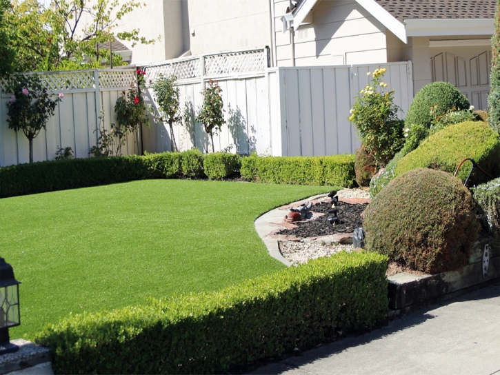 Artificial Turf Shady Hills, Florida City Landscape, Front Yard