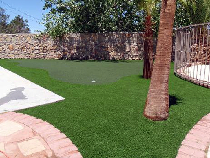 Artificial Turf Spring Lake, Florida Putting Green Flags, Backyards